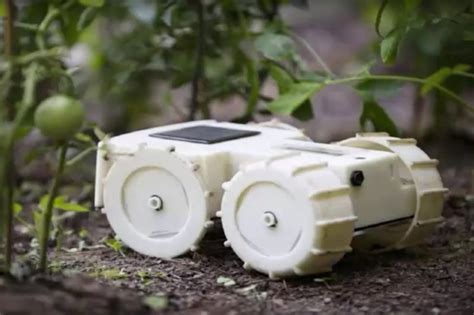 Roomba Of Gardens Tertill Robot Autonomously Removes Garden Weed