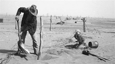 Dust Bowl Worries Swirl Up As Shelterbelt Buckles Npr