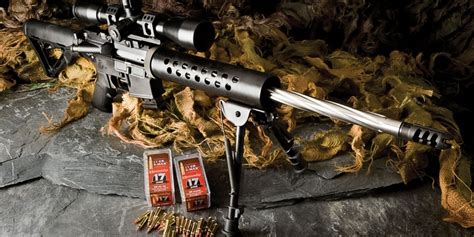 The Best 17 Caliber Rifles Available Today Rifle Shooter