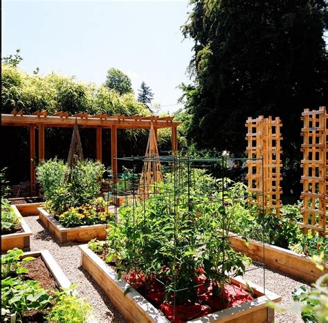 20 Would Love To Have This Backyard Veggie Garden
