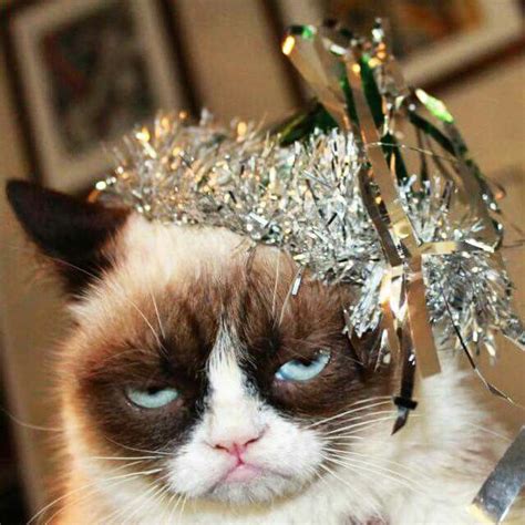 Happy New Year From Tardar Sauce Katzen Memes Grumpy Cat Lol