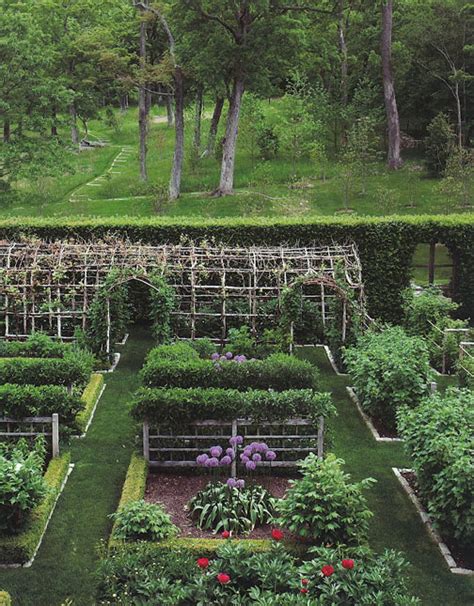 Poppy Gall Design Studio Blog · Vegetable Gardening