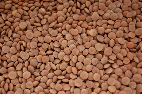 Red Lentils Stock Photo By Aletermi 1793396