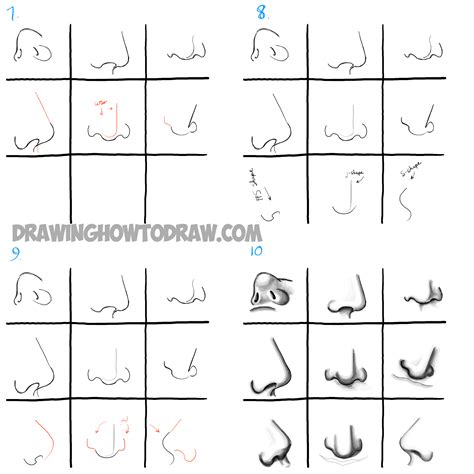 How To Draw Noses From All Different Angles And Positions Step By
