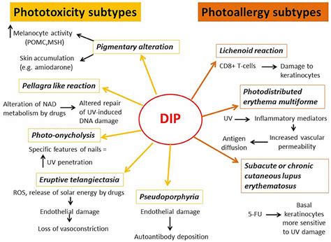 Frontiers Drug Induced Photosensitivity Clinical Types Of