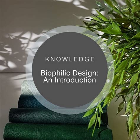Biophilic Design An Introduction Yarwood Leather