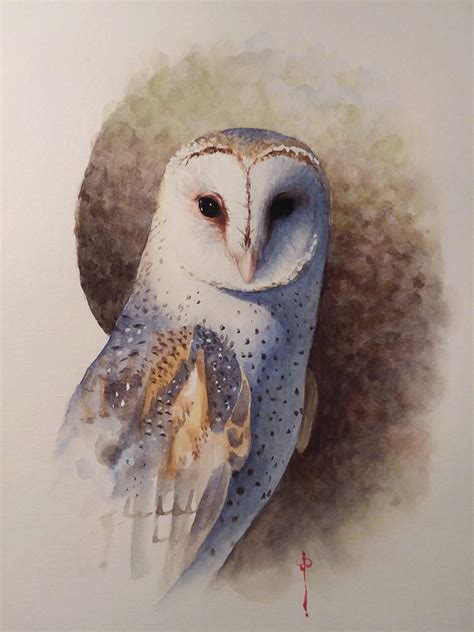 Watercolor Barn Owl Rpainting