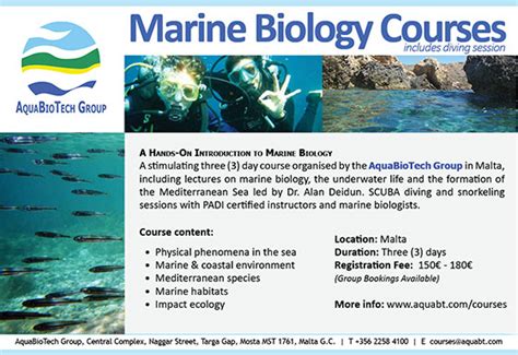 Malta Maritime Directory Dive Into Marine Biology In
