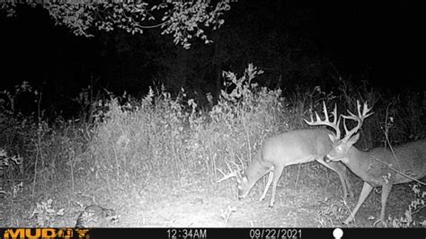 Osu Junior Kills Giant Non Typical Whitetail Buck Field And Stream