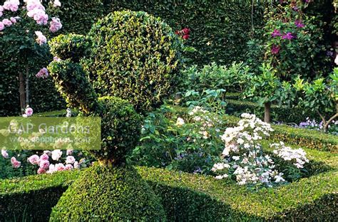 Buxus Topiary In For Stock Photo By Elke Borkowski Image 0088549