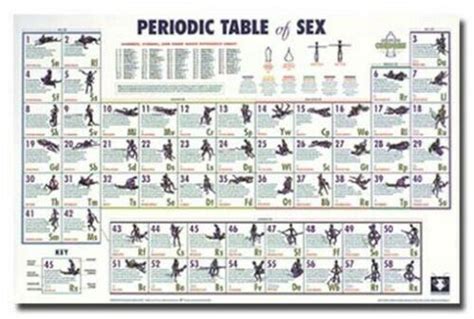 Periodic Table Of Sex Poster Positions Rare X Ebay