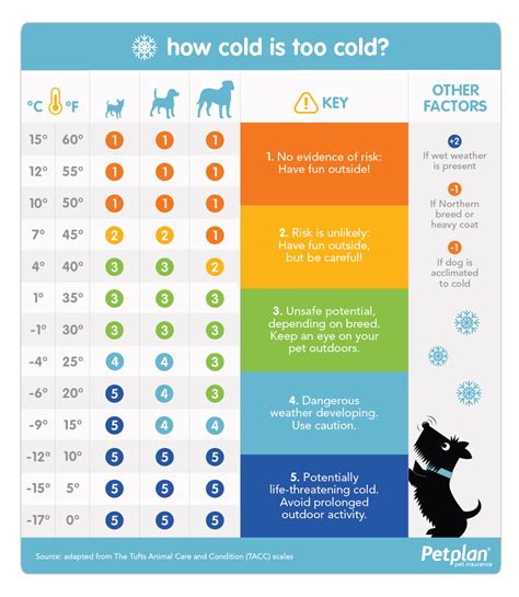 Dog Walking Temperature Chart Fahrenheit