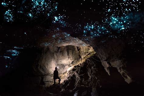 Waitomo Guided Eco Cave Tour Getyourguide