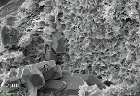 Sem Images Of The Clay Minerals Of E2w In The Southern Lufeng