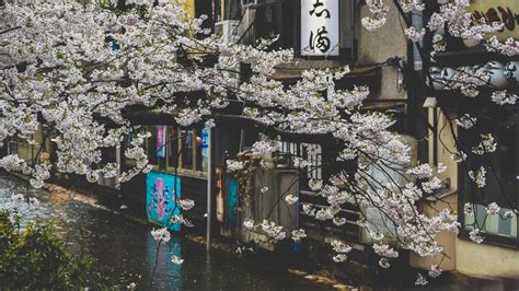 Rainy Japan Wallpapers Top Free Rainy Japan Backgrounds Wallpaperaccess