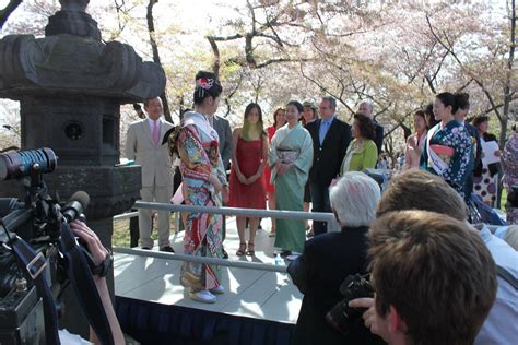 Miho Odagiri Japan Cherry Blossom Princess 2010 Ichiro Fuj Flickr