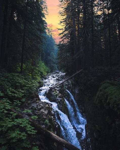 Hiking By Sol Duc Falls At Dawn Olympic National Park Wa 1958x2448