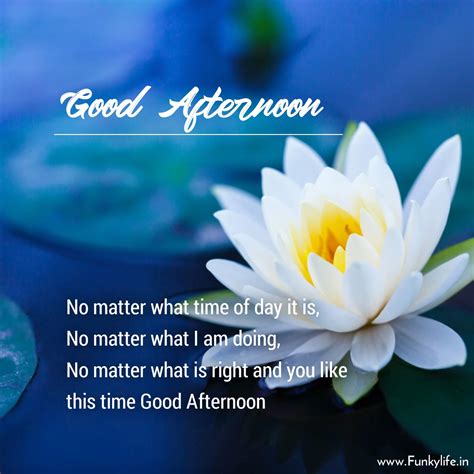 Good Afternoon Images Gone App