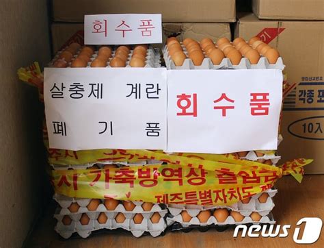 부실검사 농장 420곳 재조사살충제 계란 늘어날 수도 네이트 뉴스