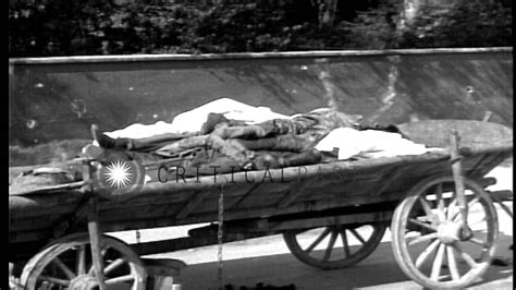 Piles Of Dead Bodies Drawn By Horse Carts For Funeral Ceremony At A