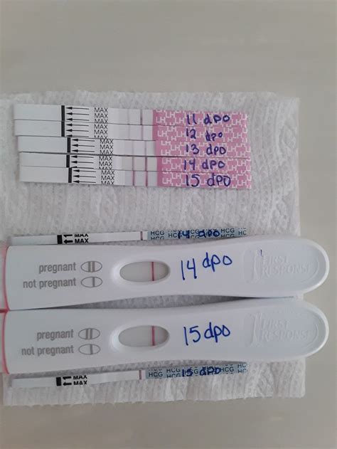 15 Dpo Negative Hpt But Positive Opk Trying To Conceive Forums