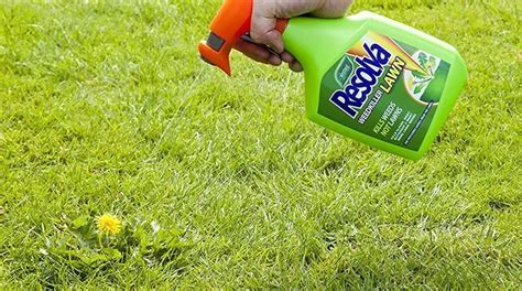 Best Broadleaf Weed Killer For Lawns Buying Guide And Review Constant Delights