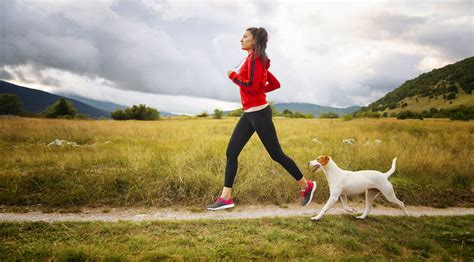 5 Major Health Benefits Of Dog Walking For Pet Owners Lifelearn Inc