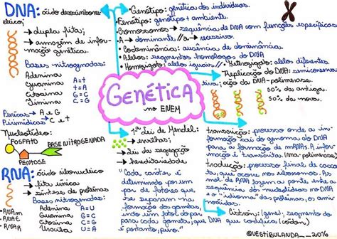 Mapa Mental De Biologia Gen Tica Gen Tica Resumo Gen Tica Mapas