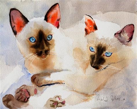 Siamese Cat Art Print Watercolor Painting By Rachelsstudio