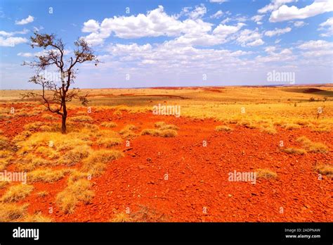 Australian Outback Landscape Pilbara Western Australia Stock Photo