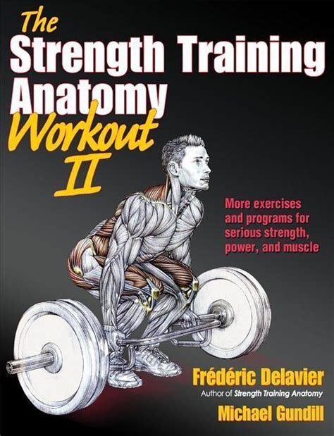 Delavier F Strength Training Anatomy Workout 2 Buch Versandkostenfrei