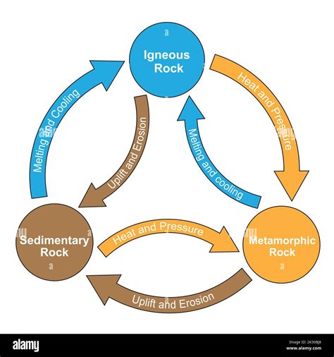 Rock Cycle Scheme Type Of Rocks Rocks Classification Vector