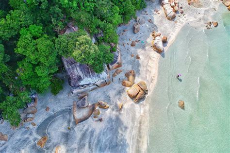 Aerial Photography Of Beach Shore Near On Forest · Free Stock Photo
