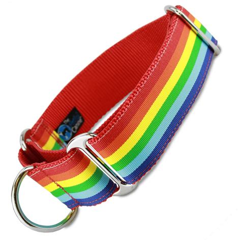 Rainbow Martingale Dog Collar 15 Wide Gay Pride Martingale Collar