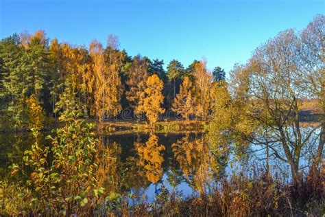 Autumn Landscape With Colorful Forest Colorful Foliage Over The Lake