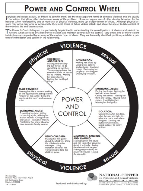 The Domestic Violence Wheel Mensrights