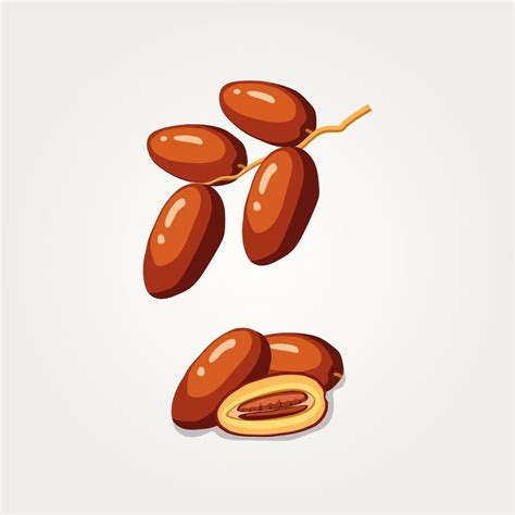 Dates Fruits Food For Iftar In Ramadan Flat Illustration Vector