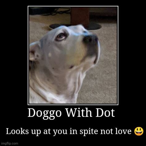 Doggo With Dot Imgflip