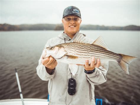 North Carolina Fishing The Complete Guide Updated 2023