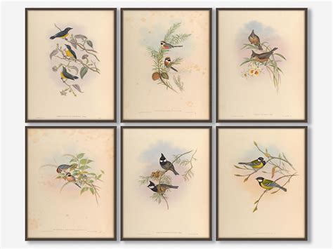 Vintage tropical prints i love xx. Birds Prints Set, Bird Illustration, Tropical bird print ...
