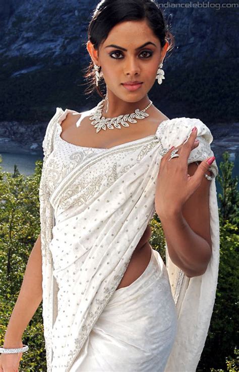Karthika Nair South Indian Actress Msm Hot Saree Photo Indiancelebblog Com