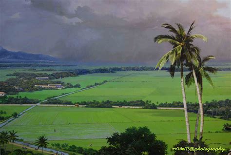 Laman facebook rasmi kerajaan negeri kedah darul aman kedah sejahtera. .: keindahan visual sawah padi di kedah