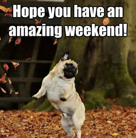 Hope You Have An Amazing Weekend Pictures Photos And Images For