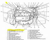 Pictures of Vacuum Hose Diagram 2000 Ford Ranger