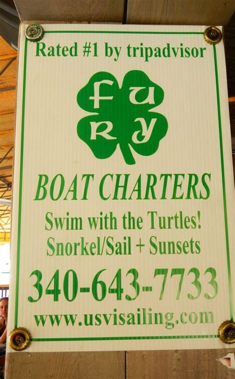 sail out and snorkel with sea turtles st thomas usvi vacation planner charter boat st thomas