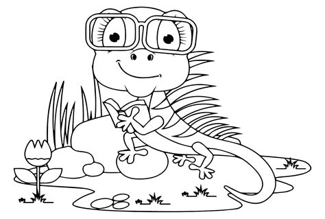 Iguana Coloring Iguana Coloring Pages P Ginas Para Colorir Para The