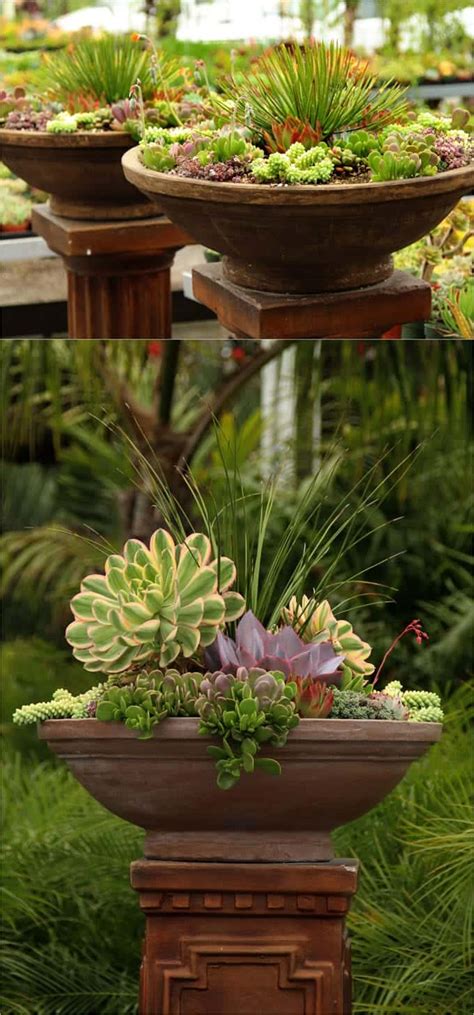 For the optimal results, purchase a potting soil mix. How to Plant Beautiful Succulent Gardens in 5 Easy Steps ...
