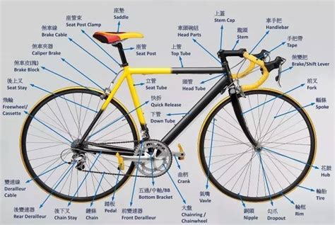 自行车零件大图解中英文对照你认识多少
