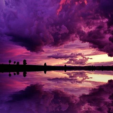 Purple Sunset Purple Sunset