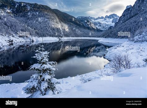Beautiful Snowy Winter Landscape With Dachstein Mountain And Gosausee